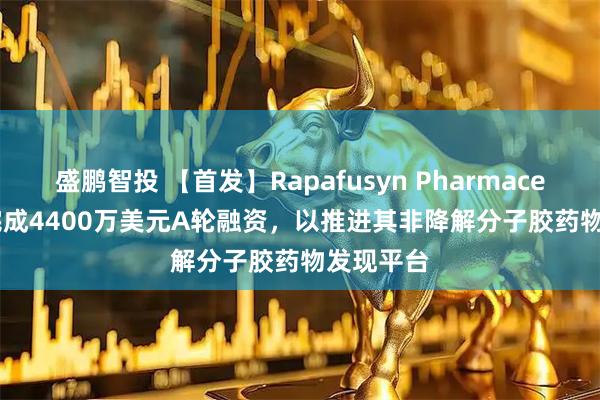 盛鹏智投 【首发】Rapafusyn Pharmaceuticals完成4400万美元A轮融资，以推进其非降解分子胶药物发现平台